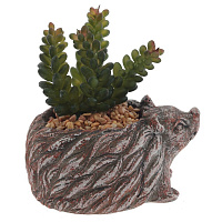 Цветочная композиция "Суккулент", L14 W12 H12 см, оптом