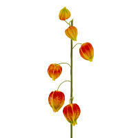 Цветок искусственный "Физалис" (Real Touch), L15 W12 H69 см оптом