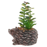 Цветочная композиция "Суккулент", L14 W12 H12 см, оптом