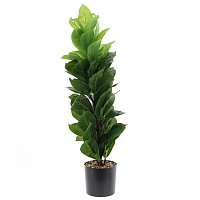 Цветочная композиция "Фикус", L25 W25 H73 см оптом