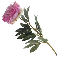 Цветок искусственный "Пион", L19 W19 H96 см оптом
