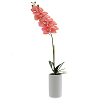 Цветочная композиция "Орхидея", L16 W10 H76 см оптом