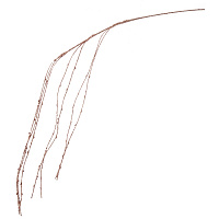 Изделие декоративное "Ветка", H130 см оптом