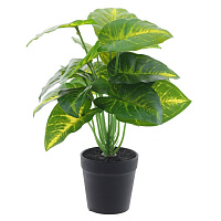 Цветочная композиция "Каладиум", L27 W27 H32 см оптом