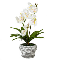 Цветочная композиция "Орхидея", L25 W23 H41 см оптом