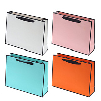 Пакет подарочный M (бумага 230г/м2, блок микс 12шт), L27 W8 H21 см, 4в. оптом