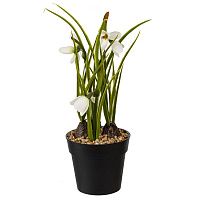 Цветочная композиция "Подснежник", L10 W9,5 H29 см оптом