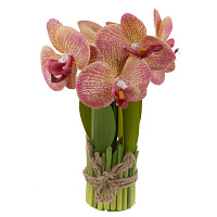 Цветочная композиция "Орхидея", L14 W14 H27 см оптом