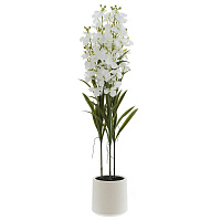 Цветочная композиция "Орхидея", L32 W32 H128 см оптом