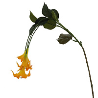 Цветок искусственный "Колокольчик" (Real Touch), L48 W38 H90 см оптом