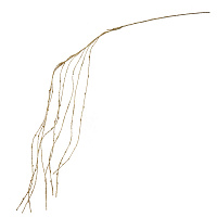 Изделие декоративное "Ветка", H130 см оптом