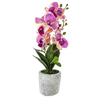 Цветочная композиция "Орхидея", L16 W16 H45 см оптом