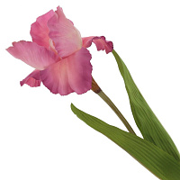 Цветок искусственный, L16 W16 H79 см оптом