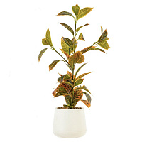 Цветочная композиция "Кодиеум", L26 W36 H60 см оптом