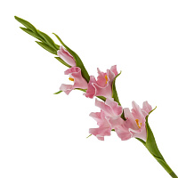 Цветок искусственный "Гладиолус" (Real Touch), L10 W10 H56 см оптом