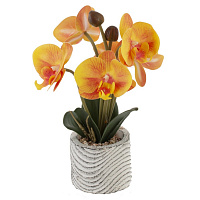 Цветочная композиция "Орхидея", L14 W13 H29 см оптом