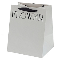 Пакет подарочный S (бумага 250г/м2, блок 10шт), L22 W19 H27 см оптом