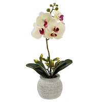 Цветочная композиция "Орхидея", L18 W15 H34 см оптом