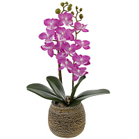 Цветочная композиция "Орхидея", L11 W11,5 H36,5 см оптом