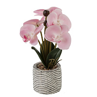 Цветочная композиция "Орхидея", L14 W12 H29 см оптом