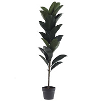 Цветочная композиция "Фикус", L35 W35 H111 см оптом