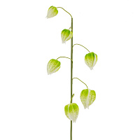 Цветок искусственный "Физалис" (Real Touch), L13 W10 H70 см оптом