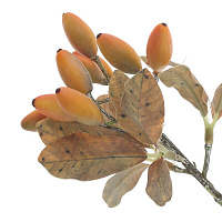 Ветка искусственная "Барбарис", L12 W12 H22 см оптом