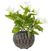 Цветочная композиция "Примула", L17 W17 H24 см оптом