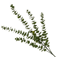 Ветка искусственная "Эвкалипт", L14 W9 H85 см оптом