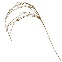 Изделие декоративное "Ветка", L11 W2,5 H109 см оптом