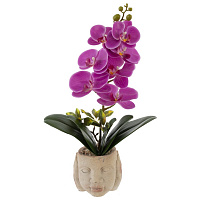 Цветочная композиция "Орхидея", L16,5 W14 H46,5 см оптом