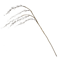 Изделие декоративное подвесное "Ветка", L9 W2,5 H76 см оптом