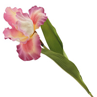 Цветок искусственный "Ирис", L21 W18 H78 см оптом