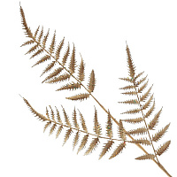 Изделие декоративное "Ветка", L15 W15 H90 см оптом