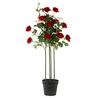 Цветочная композиция "Роза", L27 W27 H105 см оптом