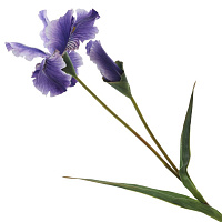 Цветок искусственный "Ирис" (Real Touch), L27 W18 H93 см оптом