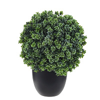 Цветочная композиция "Самшит", L19 W19 H27 см оптом