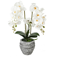 Цветочная композиция "Орхидея", L18 W18 H82 см оптом