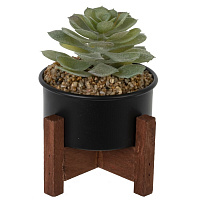 Цветочная композиция "Суккулент", L10 W10 H12 см оптом