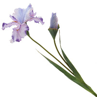 Цветок искусственный "Ирис" (Real Touch), L20 W15 H94 см оптом