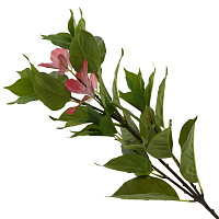 Цветок искусственный "Муссенда", L26 W24 H88 см оптом