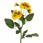 Ветки пасхальные