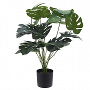 Цветочные композиции