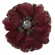 Цветы новогодние