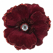 Цветы новогодние