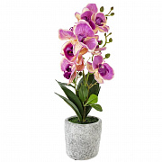 Цветочные композиции