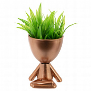 Цветочные композиции