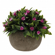 Цветочные композиции