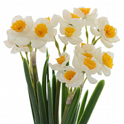 Цветы искусственные