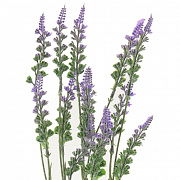 Цветы искусственные